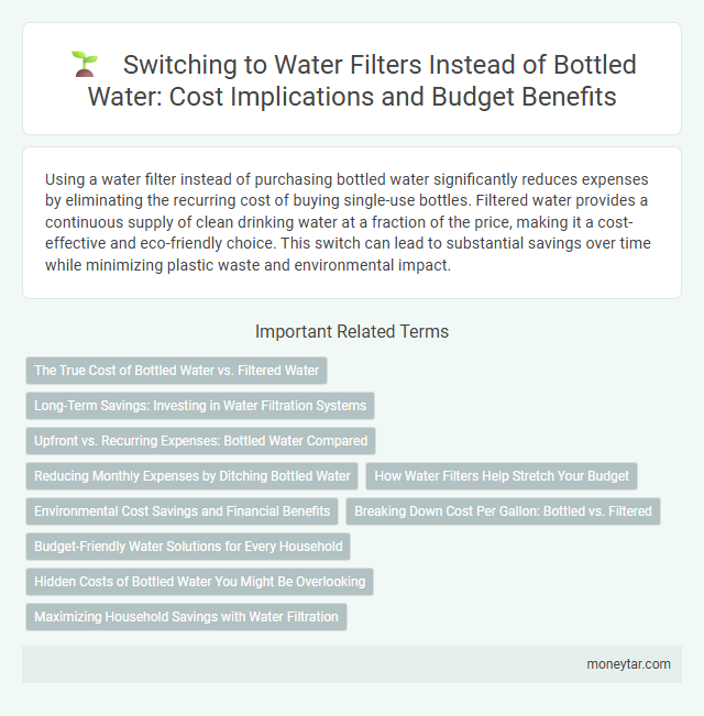 Switching to Water Filters Instead of Bottled Water: Cost Implications and Budget Benefits