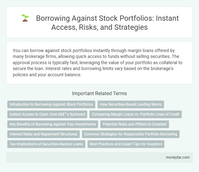 Borrowing Against Stock Portfolios: Instant Access, Risks, and Strategies