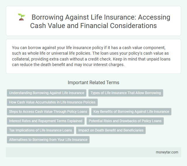 Borrowing Against Life Insurance: Accessing Cash Value and Financial Considerations