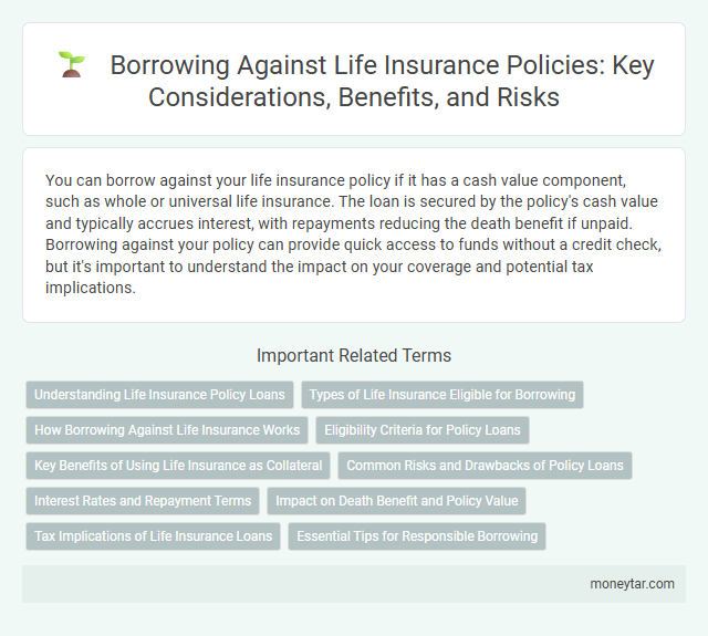 Borrowing Against Life Insurance Policies: Key Considerations, Benefits, and Risks