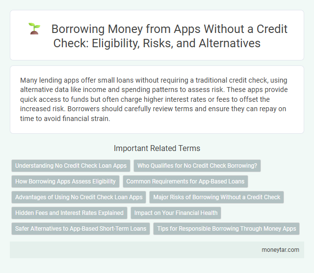 Borrowing Money from Apps Without a Credit Check: Eligibility, Risks, and Alternatives