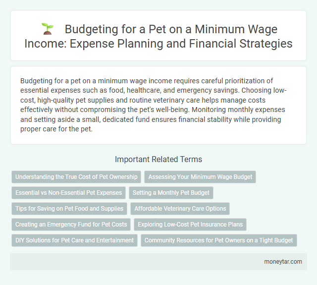 Budgeting for a Pet on a Minimum Wage Income: Expense Planning and Financial Strategies