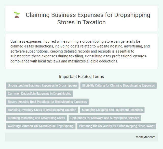 Claiming Business Expenses for Dropshipping Stores in Taxation