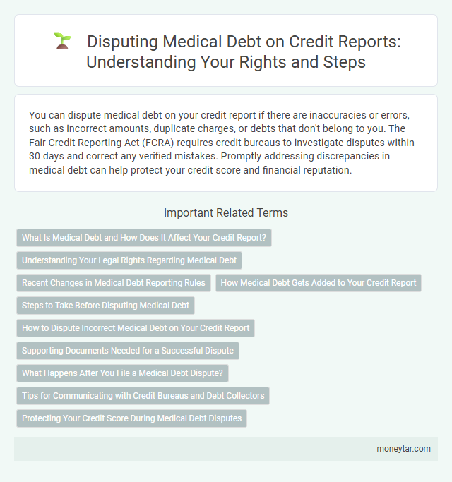 Disputing Medical Debt on Credit Reports: Understanding Your Rights and Steps