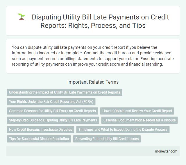 Disputing Utility Bill Late Payments on Credit Reports: Rights, Process, and Tips
