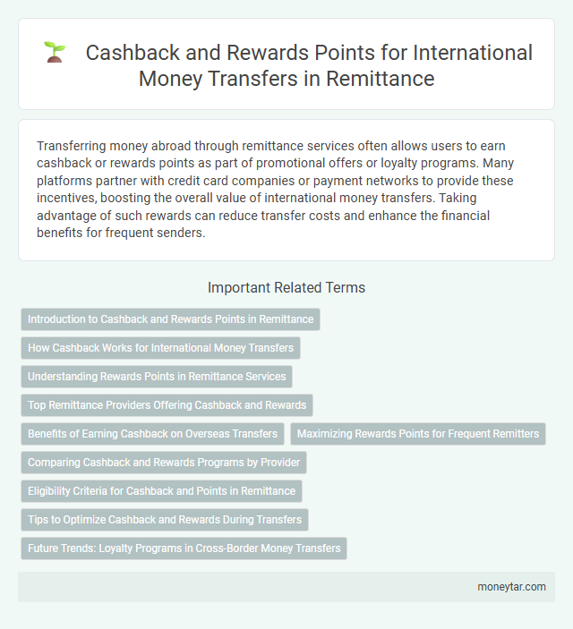 Cashback and Rewards Points for International Money Transfers in Remittance