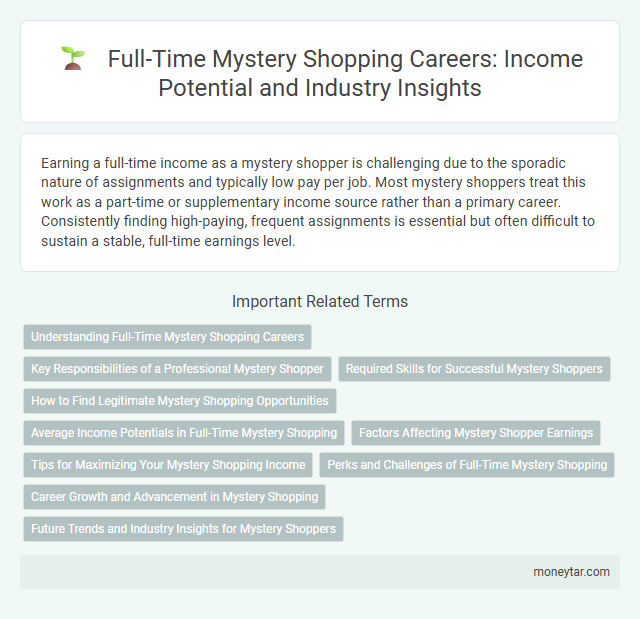 Full-Time Mystery Shopping Careers: Income Potential and Industry Insights