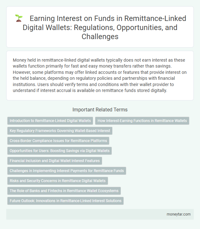 Earning Interest on Funds in Remittance-Linked Digital Wallets: Regulations, Opportunities, and Challenges