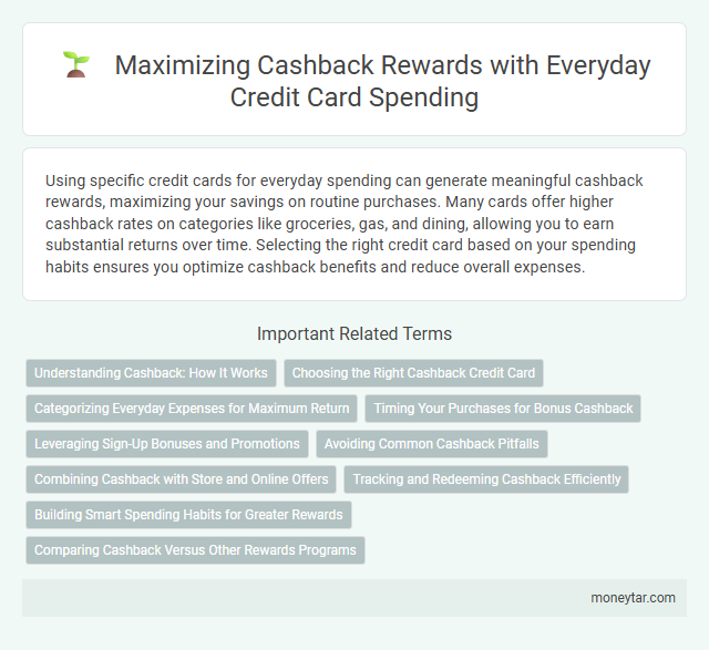 Maximizing Cashback Rewards with Everyday Credit Card Spending