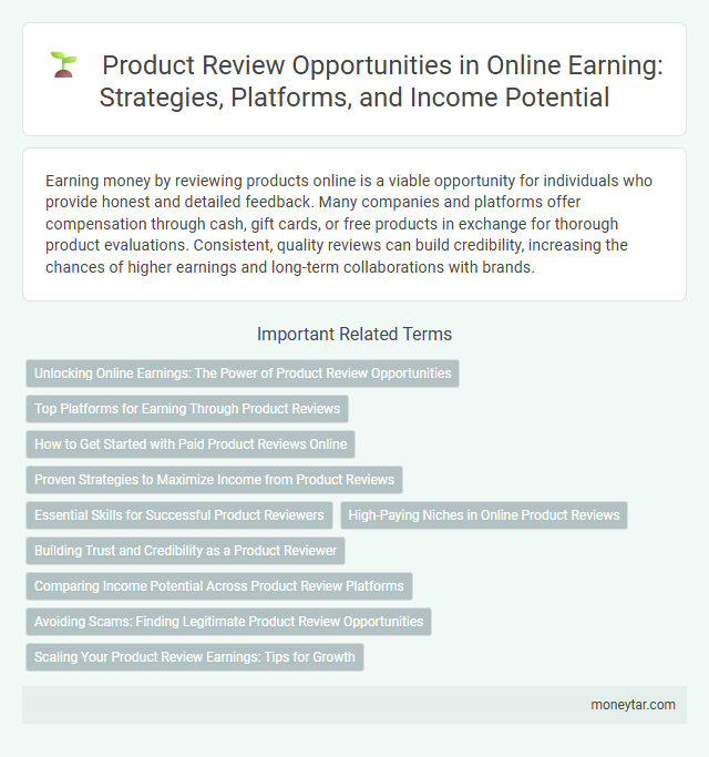 Product Review Opportunities in Online Earning: Strategies, Platforms, and Income Potential