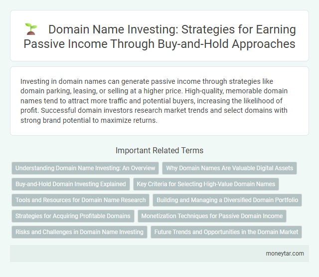 Domain Name Investing: Strategies for Earning Passive Income Through Buy-and-Hold Approaches