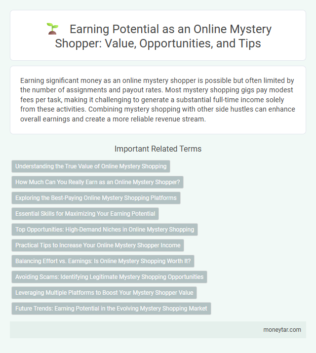 Earning Potential as an Online Mystery Shopper: Value, Opportunities, and Tips
