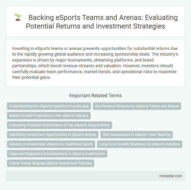 Backing eSports Teams and Arenas: Evaluating Potential Returns and Investment Strategies