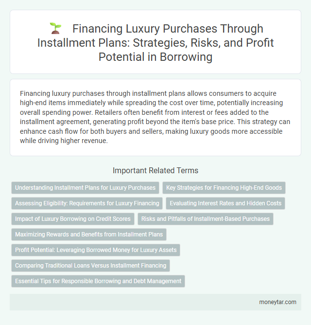 Financing Luxury Purchases Through Installment Plans: Strategies, Risks, and Profit Potential in Borrowing