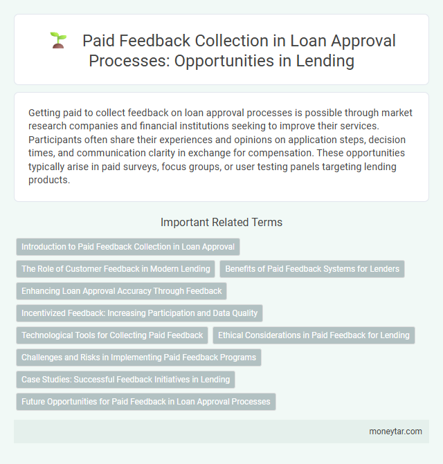 Paid Feedback Collection in Loan Approval Processes: Opportunities in Lending