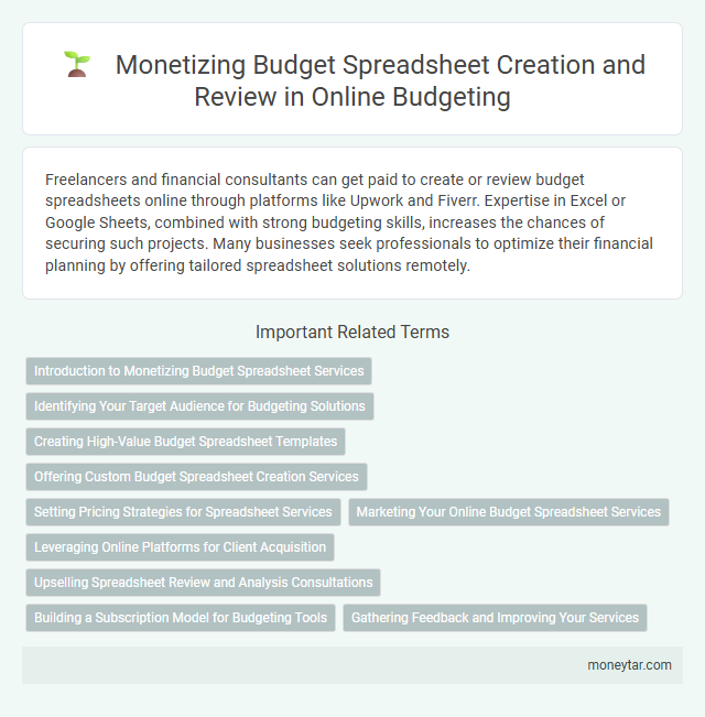 Monetizing Budget Spreadsheet Creation and Review in Online Budgeting