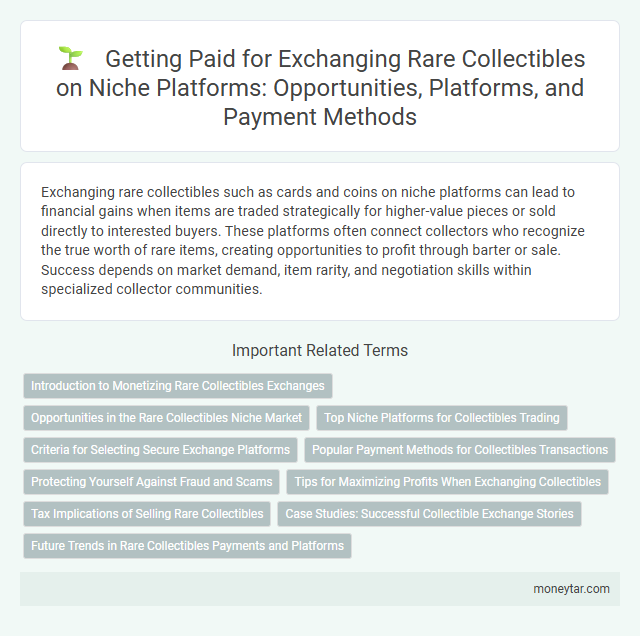 Getting Paid for Exchanging Rare Collectibles on Niche Platforms: Opportunities, Platforms, and Payment Methods