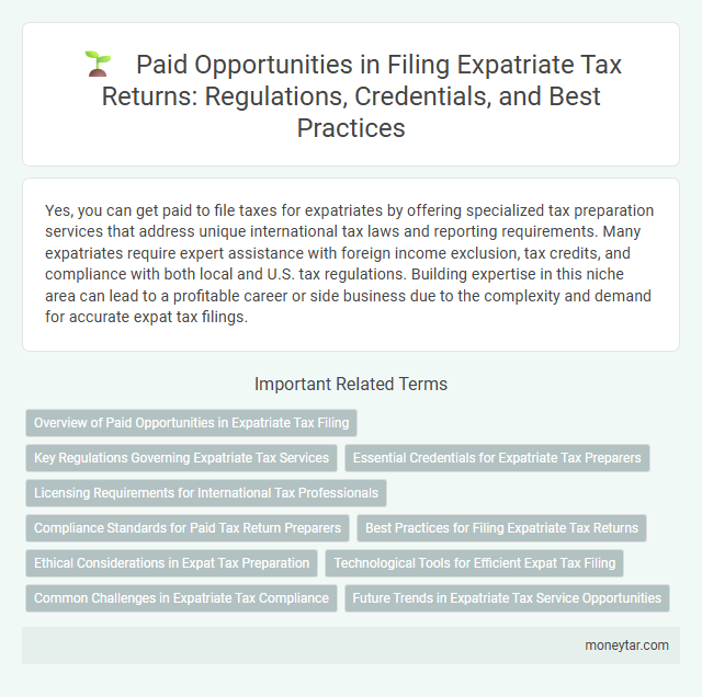 Paid Opportunities in Filing Expatriate Tax Returns: Regulations, Credentials, and Best Practices