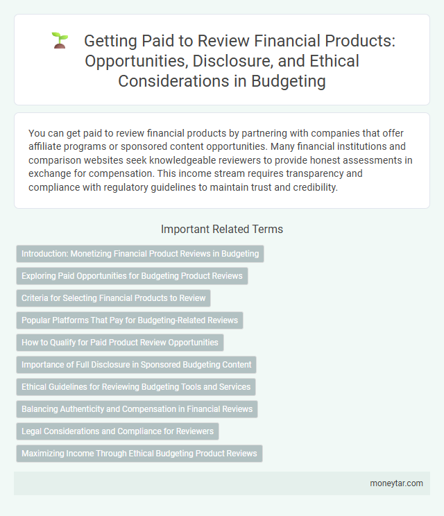 Getting Paid to Review Financial Products: Opportunities, Disclosure, and Ethical Considerations in Budgeting