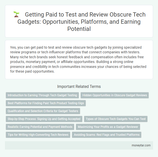 Getting Paid to Test and Review Obscure Tech Gadgets: Opportunities, Platforms, and Earning Potential