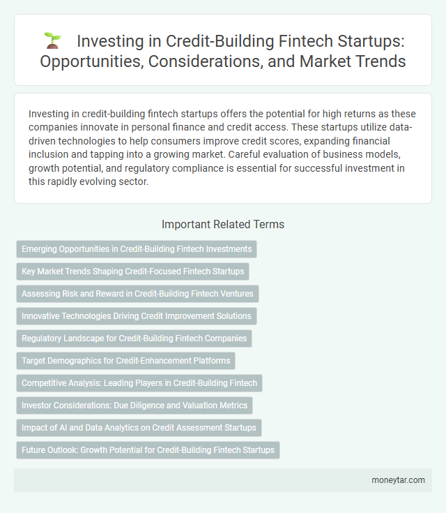 Investing in Credit-Building Fintech Startups: Opportunities, Considerations, and Market Trends