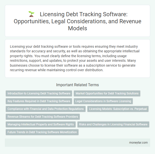 Licensing Debt Tracking Software: Opportunities, Legal Considerations, and Revenue Models