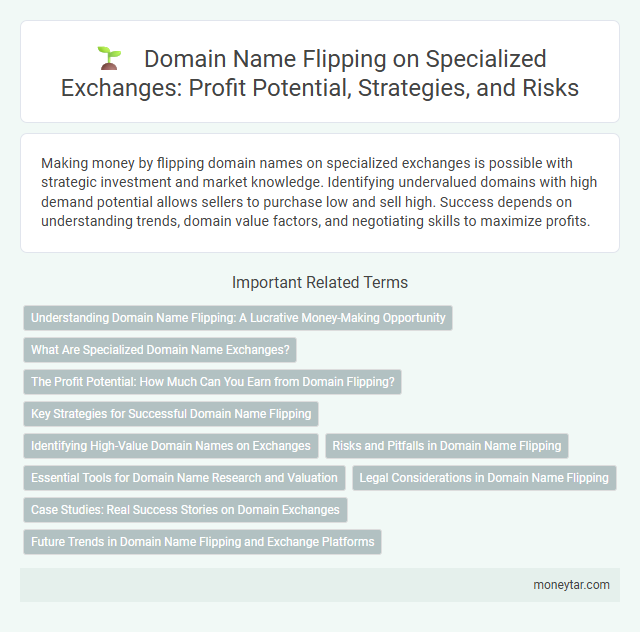 Domain Name Flipping on Specialized Exchanges: Profit Potential, Strategies, and Risks
