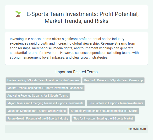 E-Sports Team Investments: Profit Potential, Market Trends, and Risks