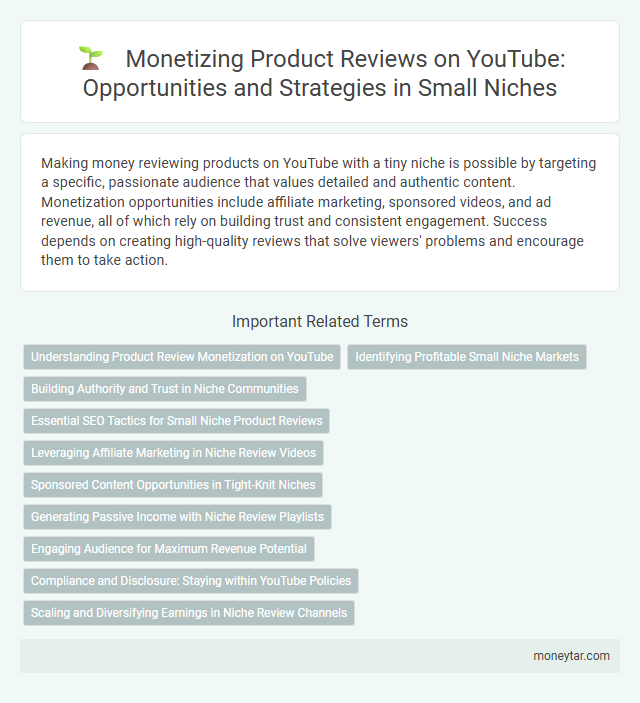 Monetizing Product Reviews on YouTube: Opportunities and Strategies in Small Niches