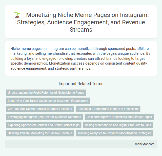 Monetizing Niche Meme Pages on Instagram: Strategies, Audience Engagement, and Revenue Streams