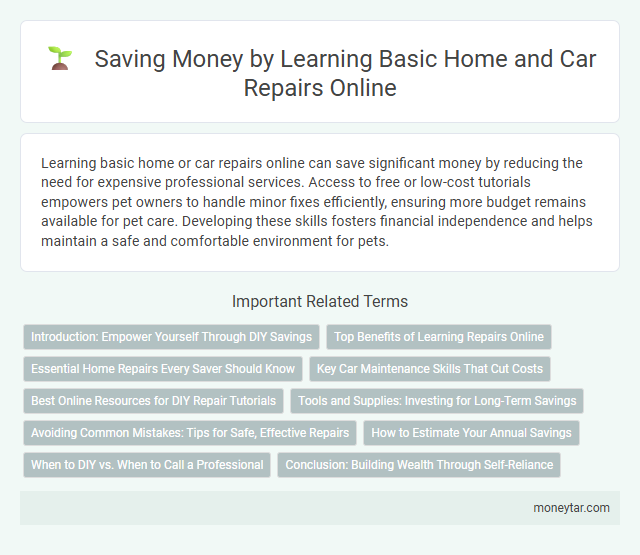 Saving Money by Learning Basic Home and Car Repairs Online