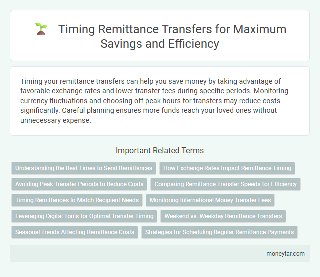 Timing Remittance Transfers for Maximum Savings and Efficiency