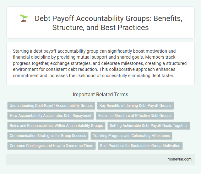 Debt Payoff Accountability Groups: Benefits, Structure, and Best Practices