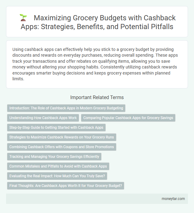 Maximizing Grocery Budgets with Cashback Apps: Strategies, Benefits, and Potential Pitfalls