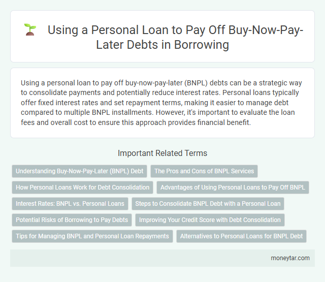 Using a Personal Loan to Pay Off Buy-Now-Pay-Later Debts in Borrowing