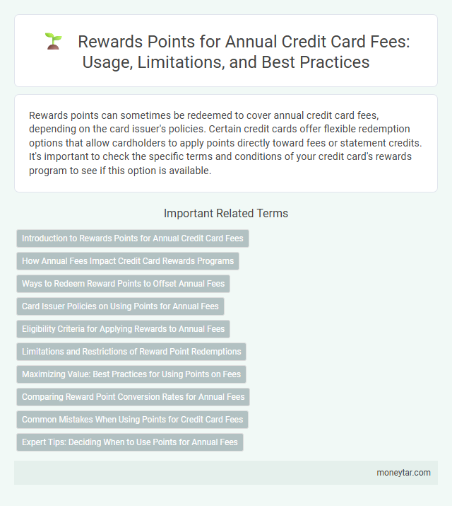 Rewards Points for Annual Credit Card Fees: Usage, Limitations, and Best Practices