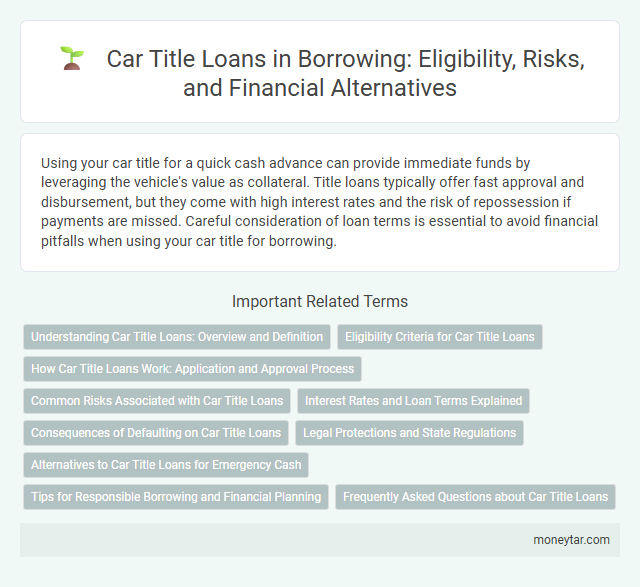 Car Title Loans in Borrowing: Eligibility, Risks, and Financial Alternatives