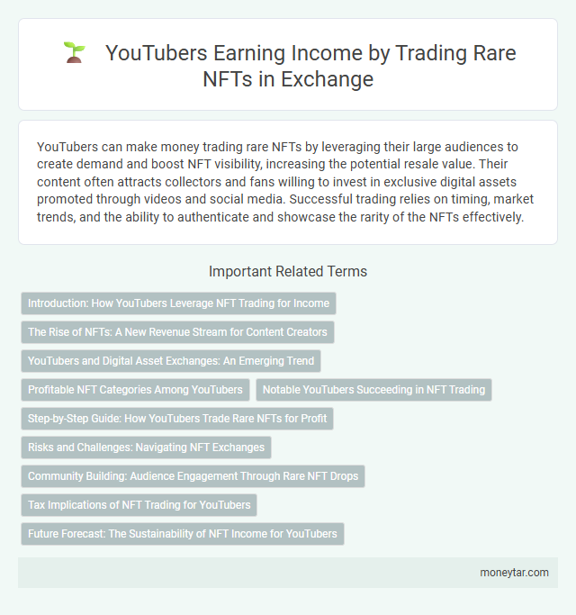 YouTubers Earning Income by Trading Rare NFTs in Exchange