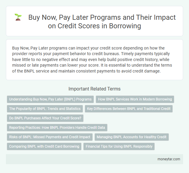 Buy Now, Pay Later Programs and Their Impact on Credit Scores in Borrowing