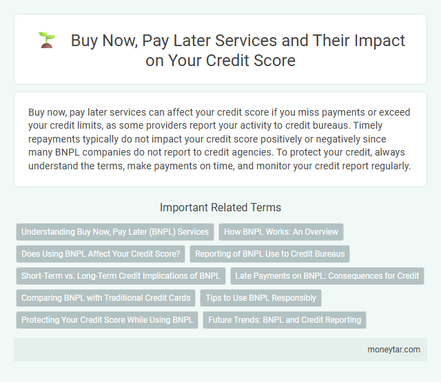 Buy Now, Pay Later Services and Their Impact on Your Credit Score