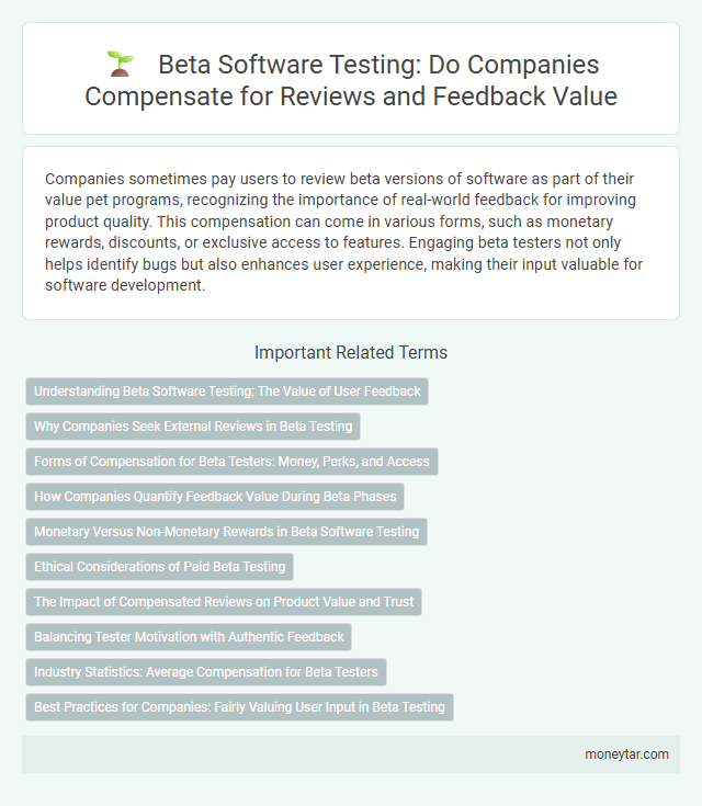 Beta Software Testing: Do Companies Compensate for Reviews and Feedback Value