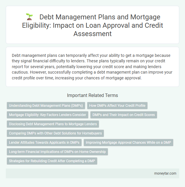 Debt Management Plans and Mortgage Eligibility: Impact on Loan Approval and Credit Assessment