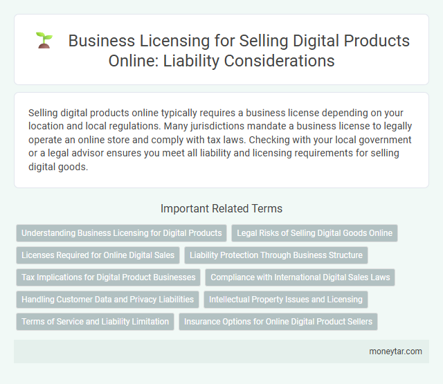 Business Licensing for Selling Digital Products Online: Liability Considerations