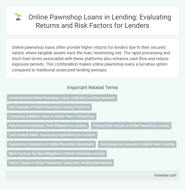 Online Pawnshop Loans in Lending: Evaluating Returns and Risk Factors for Lenders
