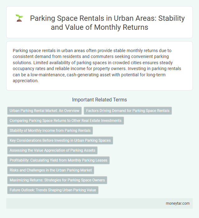 Parking Space Rentals in Urban Areas: Stability and Value of Monthly Returns