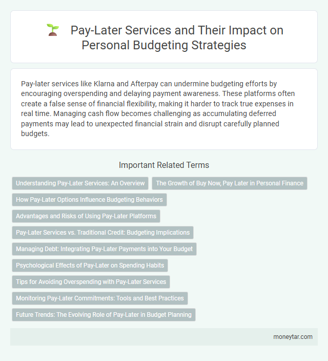 Pay-Later Services and Their Impact on Personal Budgeting Strategies
