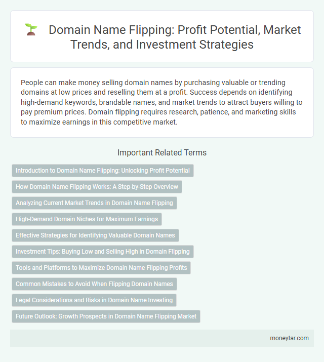 Domain Name Flipping: Profit Potential, Market Trends, and Investment Strategies