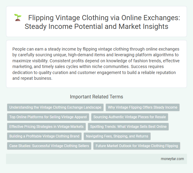 Flipping Vintage Clothing via Online Exchanges: Steady Income Potential and Market Insights