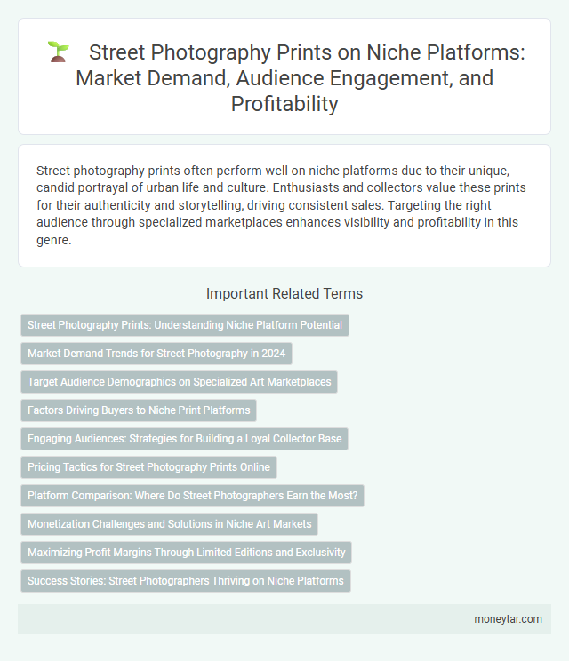 Street Photography Prints on Niche Platforms: Market Demand, Audience Engagement, and Profitability