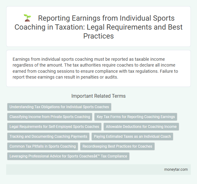 Reporting Earnings from Individual Sports Coaching in Taxation: Legal Requirements and Best Practices
